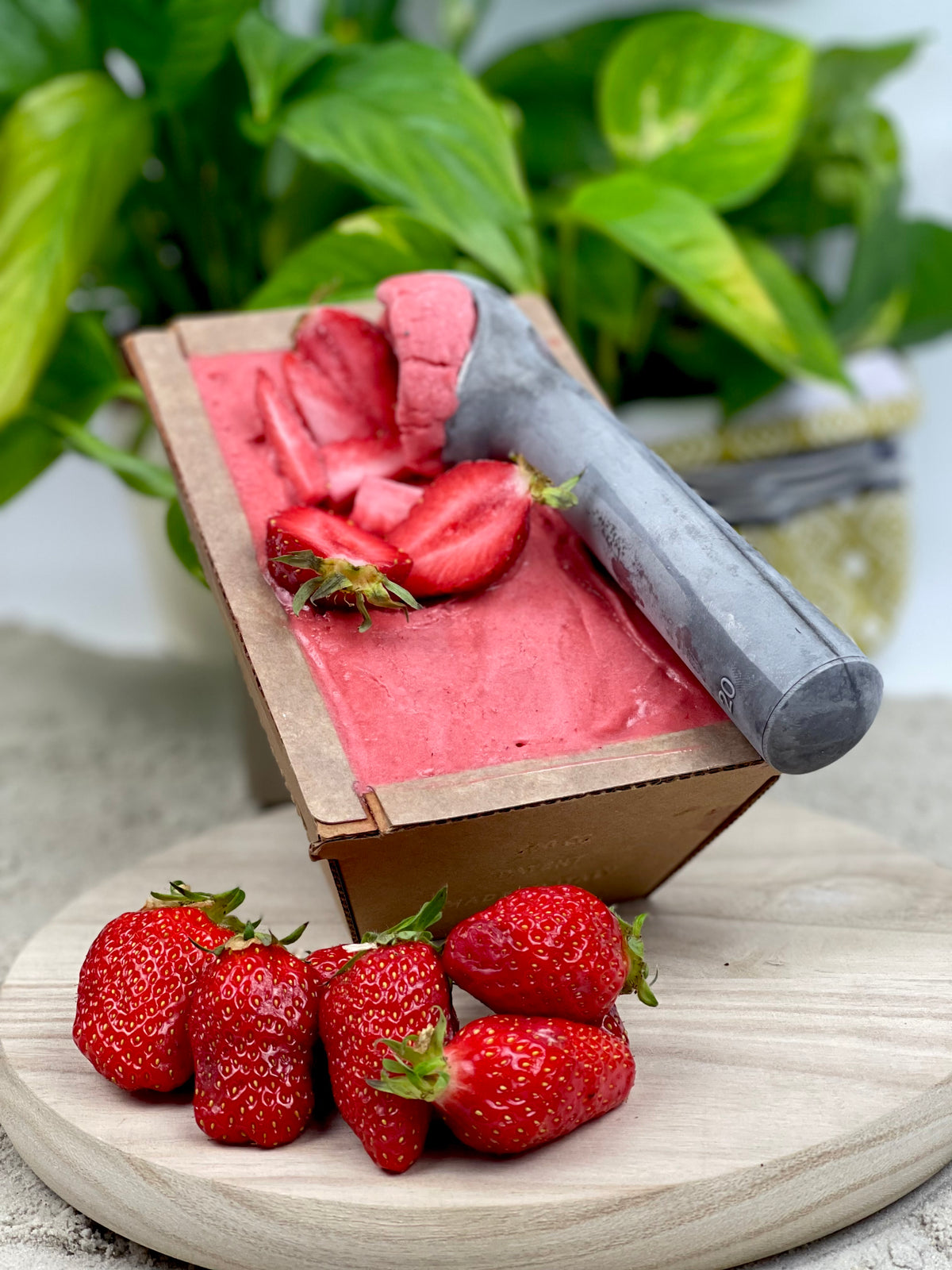 Pot glace sorbet