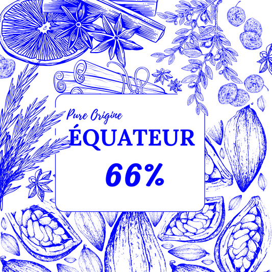 Tablette de Chocolat Pure Origine Equateur 66%